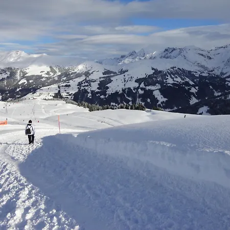 Schweiz,lenk,berner Oberland,ferienwohnung 4 Bett, Kinderfreundlich,seniorenfreundlich *