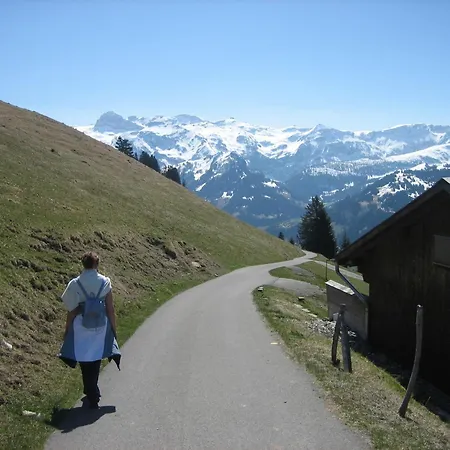 Schweiz,lenk,berner Oberland,ferienwohnung 4 Bett, Kinderfreundlich,seniorenfreundlich * レンク